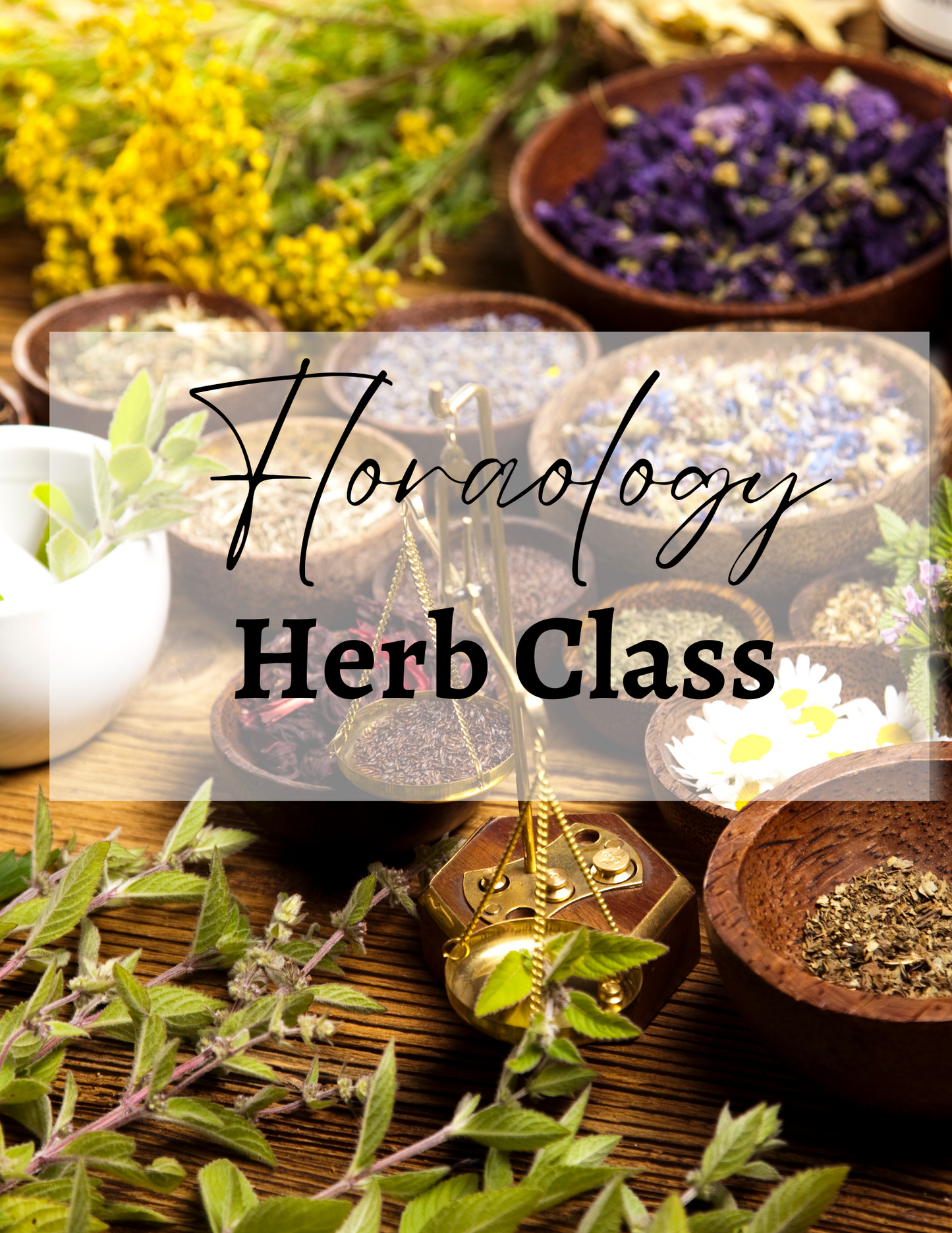Floraology | Herb Class