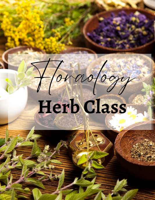 Floraology | Herb Class
