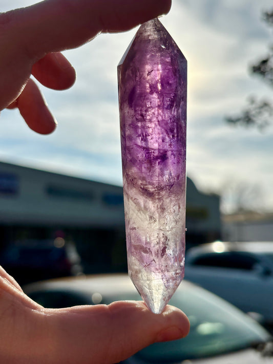 Amethyst Vogel